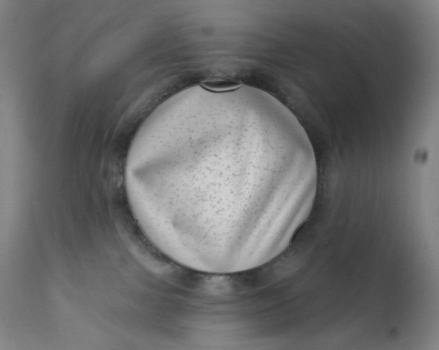 X0000111180091200907151335