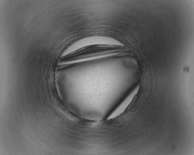 X0000111180092200907151335