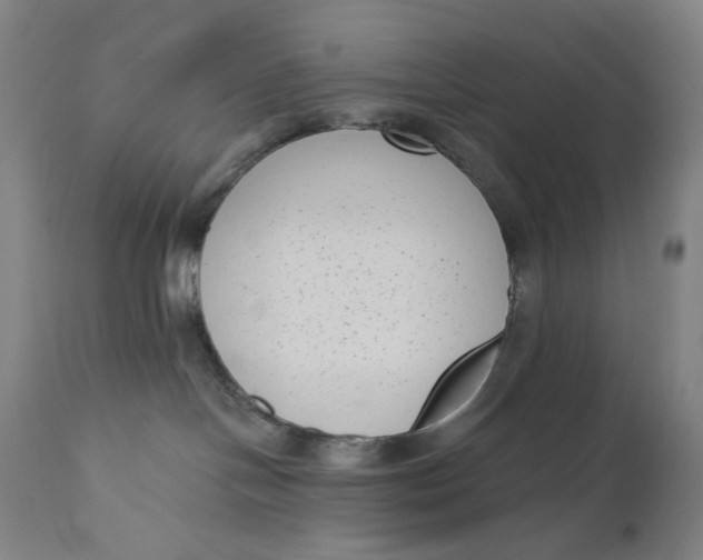 X0000111180094200907151335