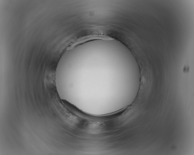 X0000111180096200907151335