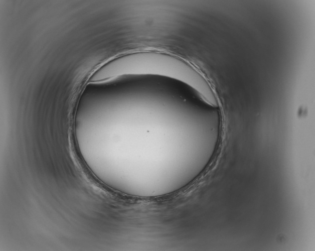 X0000111180097200907151334