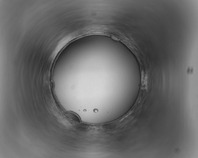 X0000111180099200907151334