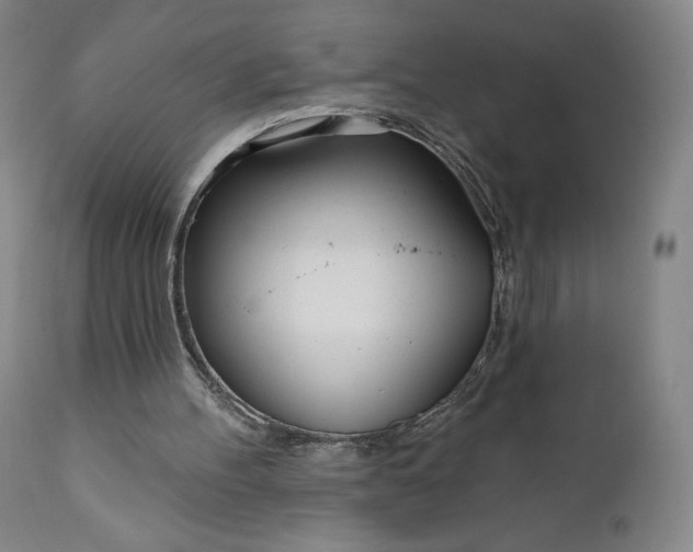 X0000111180100200907151334