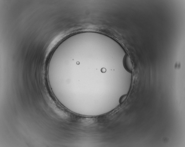 X0000111180102200907151334