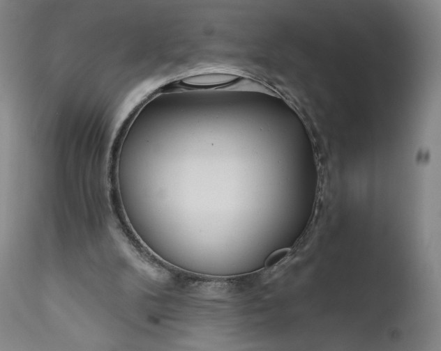 X0000111180104200907151334