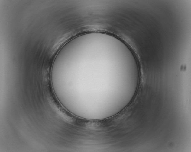 X0000111180105200907151334