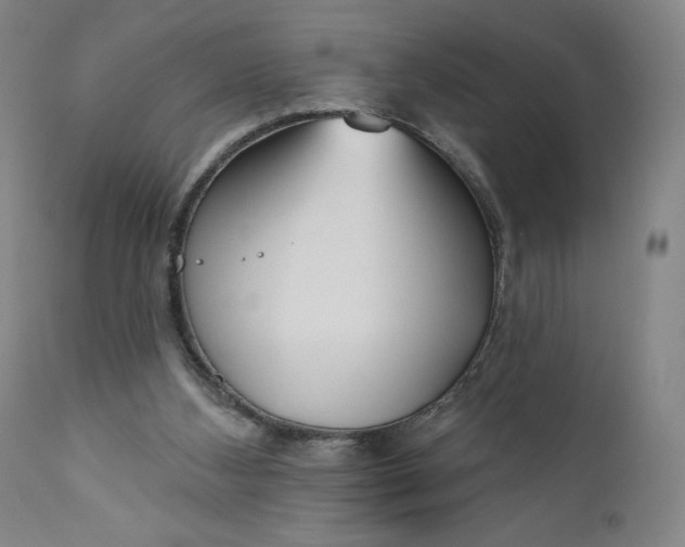 X0000111180108200907151334