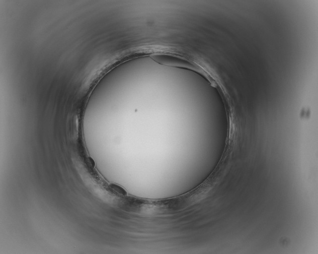 X0000111180109200907151334