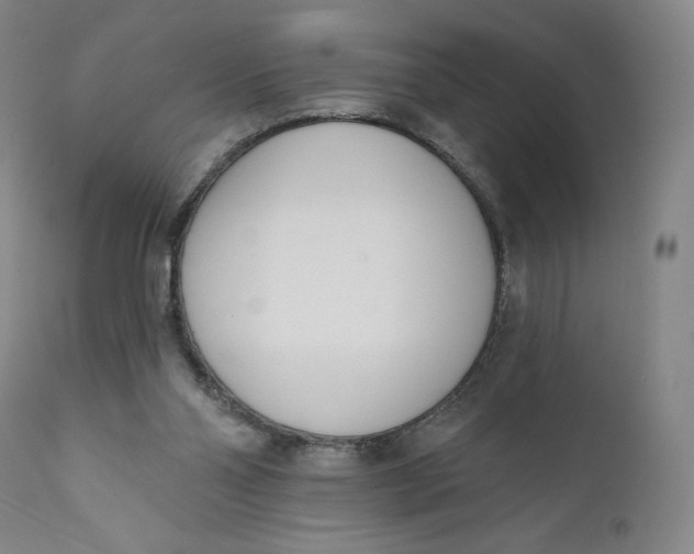 X0000111180110200907151334