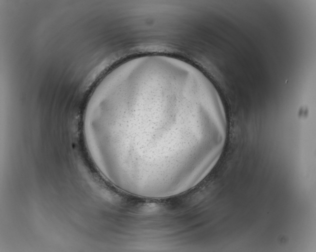 X0000111180111200907151334