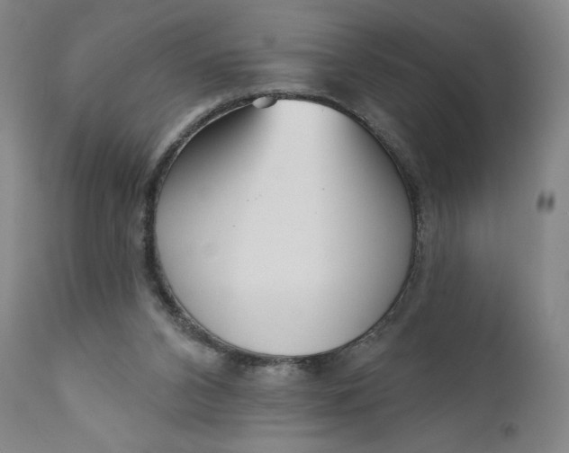 X0000111180112200907151334