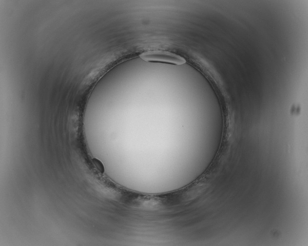 X0000111180113200907151334