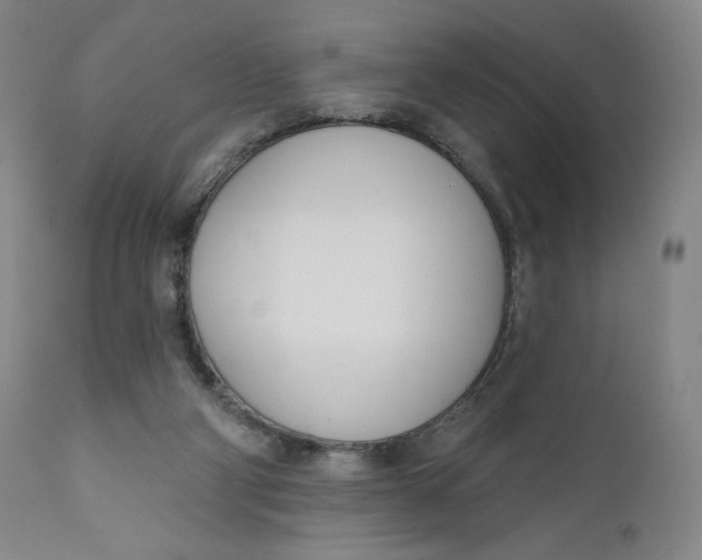 X0000111180114200907151334