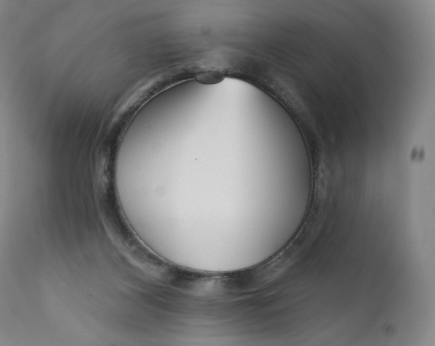 X0000111180116200907151334