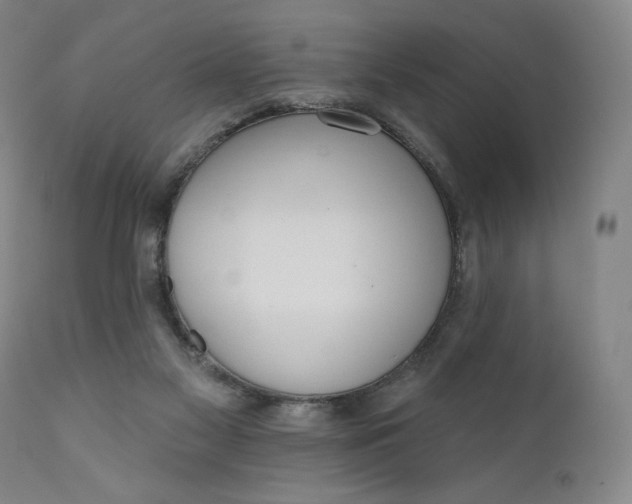 X0000111180117200907151334