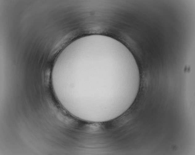 X0000111180118200907151334