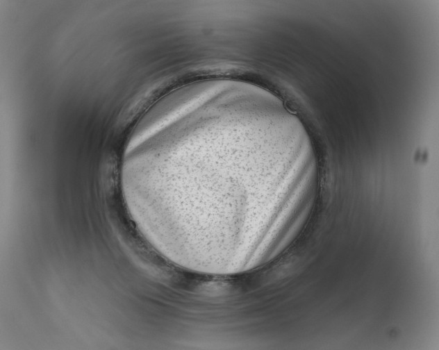 X0000111180119200907151334