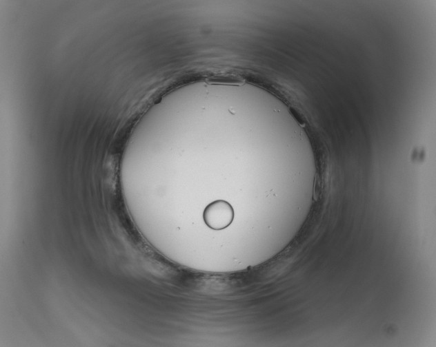 X0000111180121200907151334