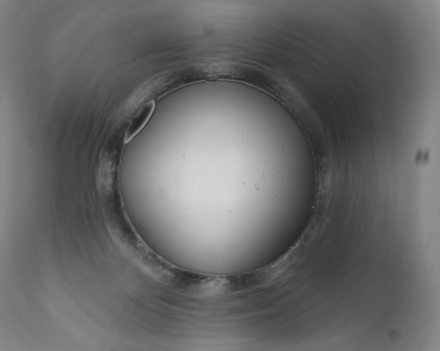 X0000111180124200907151334