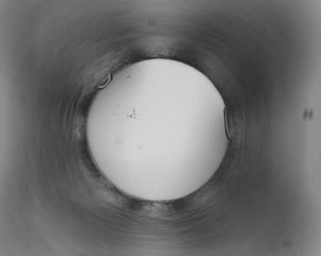 X0000111180125200907151334