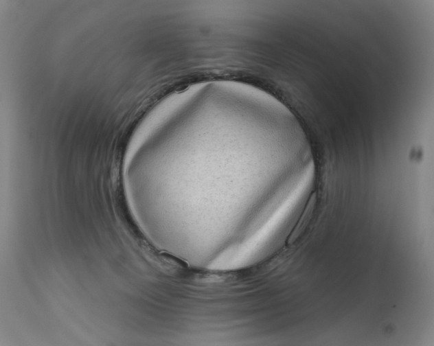 X0000111180129200907151334