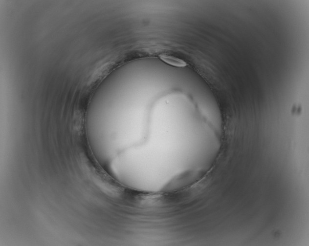 X0000111180132200907151334