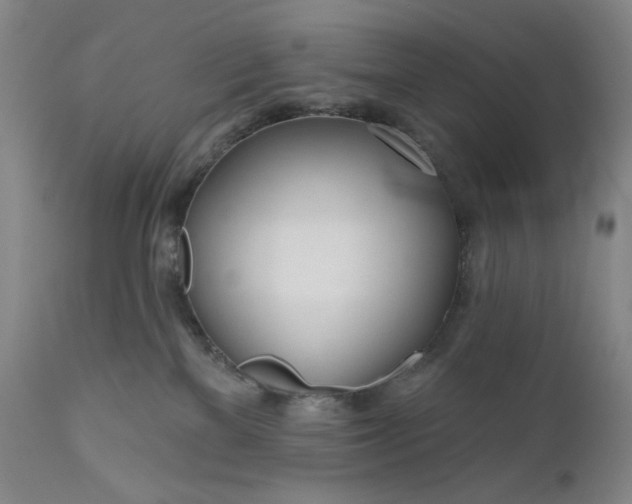 X0000111180137200907151333