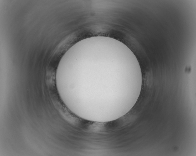 X0000111180138200907151333