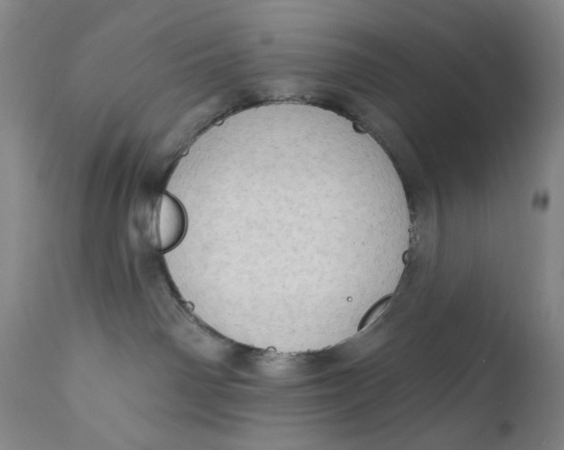 X0000111180142200907151333