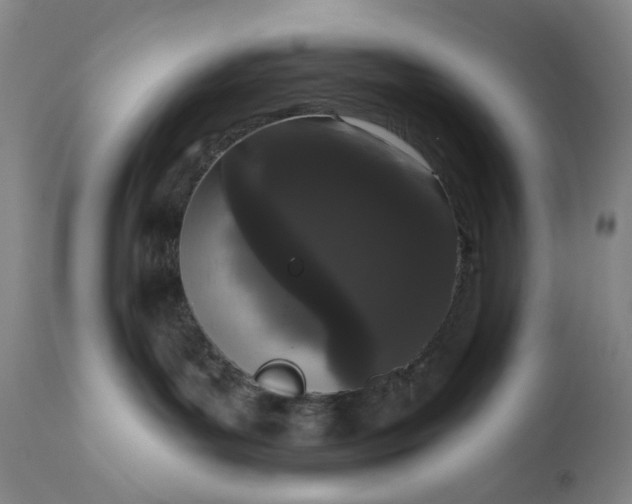 X0000111180143200907151333