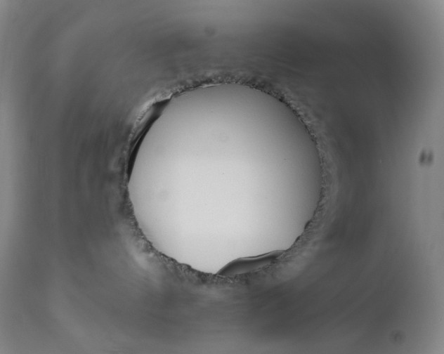 X0000111180144200907151333