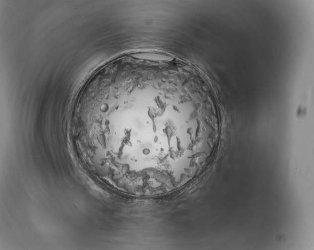 X0000111180145200907151332