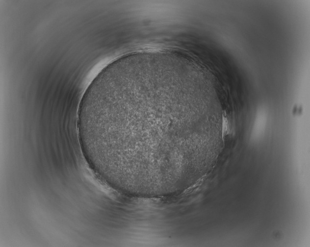 X0000111180147200907151332