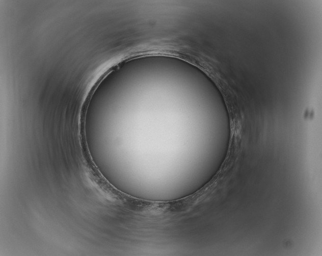 X0000111180148200907151332