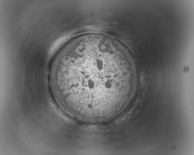 X0000111180149200907151332