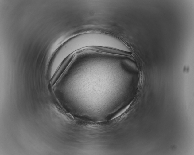 X0000111180150200907151332