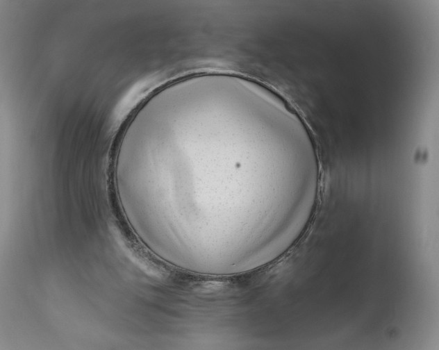 X0000111180151200907151332