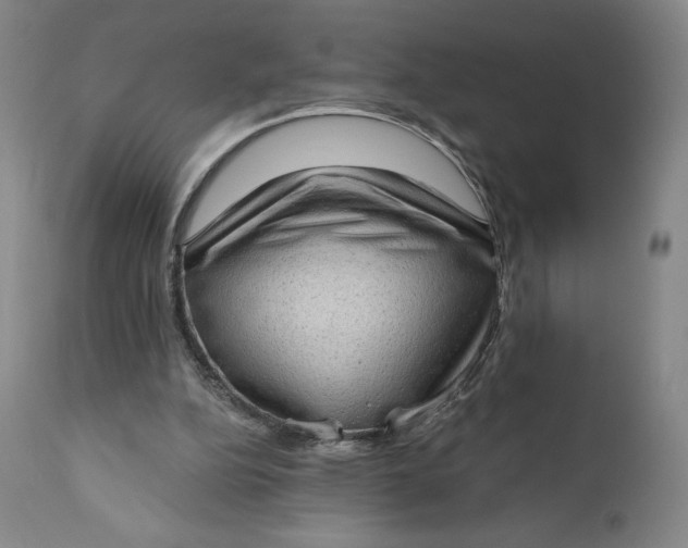 X0000111180152200907151332