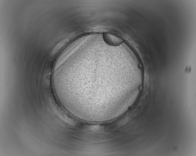 X0000111180153200907151332