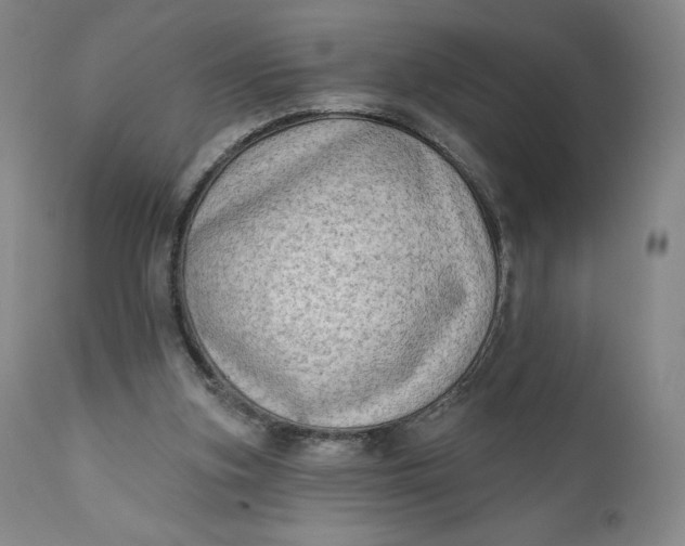 X0000111180155200907151332