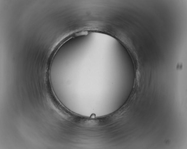 X0000111180156200907151332