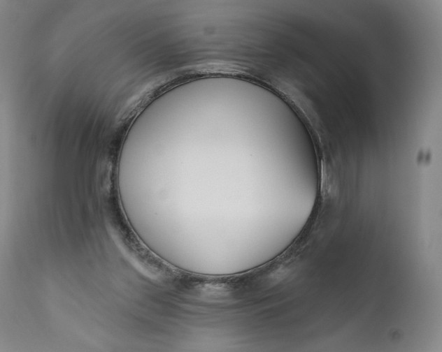 X0000111180157200907151333