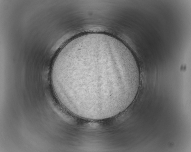 X0000111180159200907151333