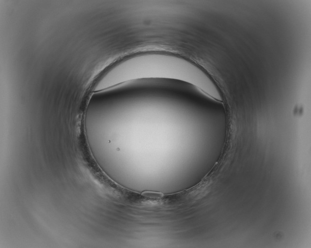 X0000111180160200907151333