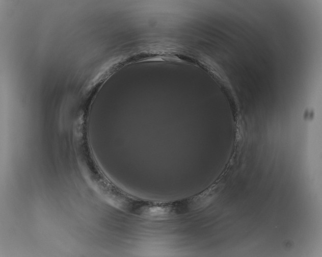 X0000111180163200907151333