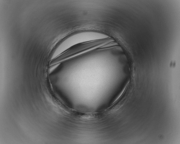 X0000111180164200907151333