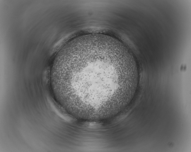 X0000111180165200907151333