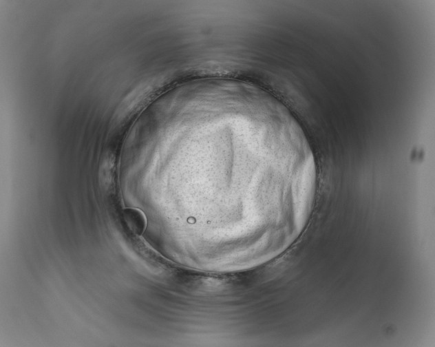 X0000111180166200907151333