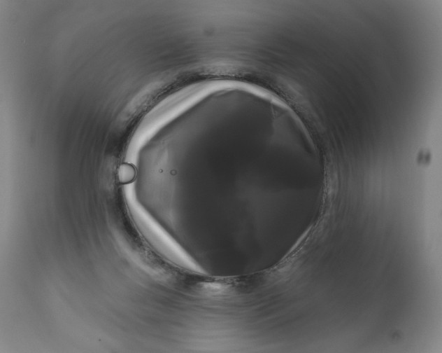 X0000111180167200907151333