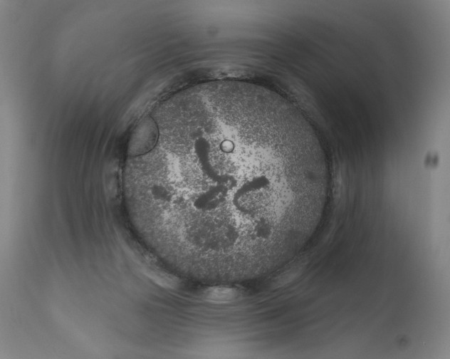 X0000111180169200907151333